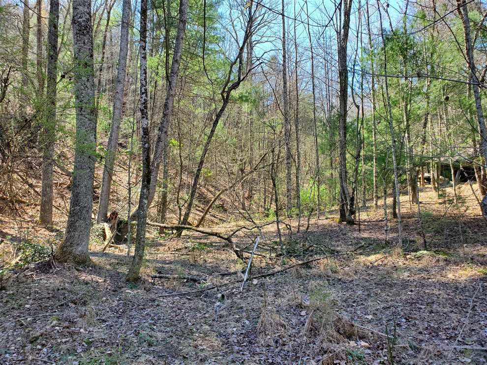 10+/- acres in Lenoir, Caldwell County Real estate listing