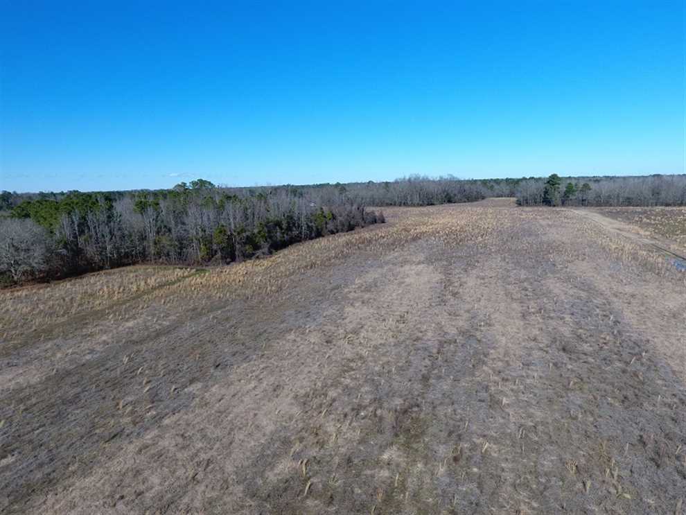107.5 Acres of Land for sale in robeson County, North Carolina