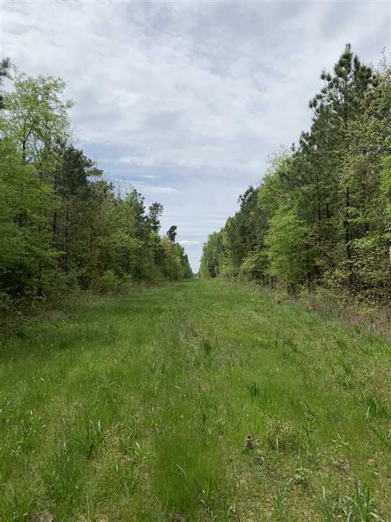 miller County, Arkansas property for sale