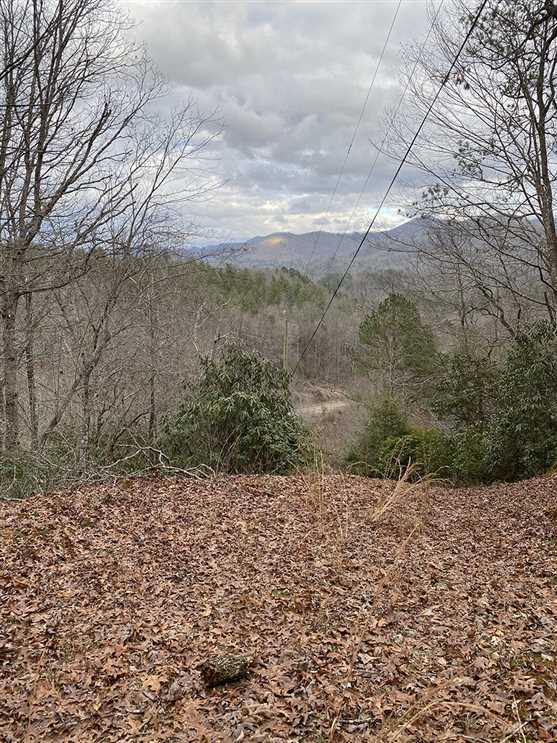 Gorgeous Mountain Property! Real estate listing