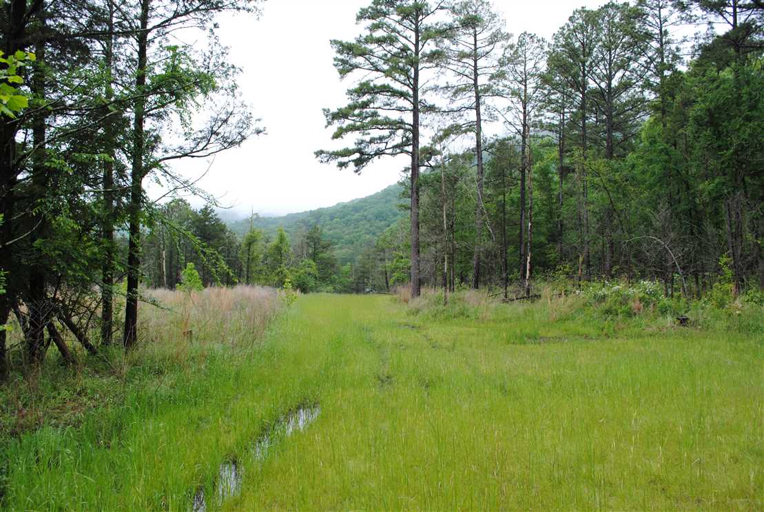 property for sale on The Land Market