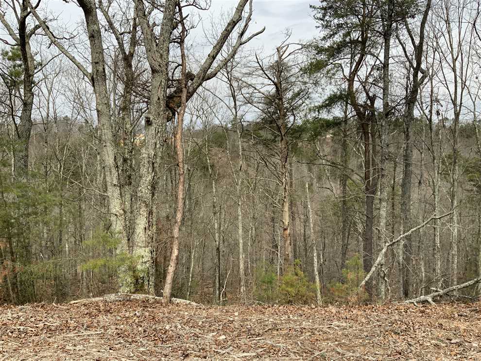 3.23 Acres of Residential land for sale in Waverly, humphreys County, Tennessee