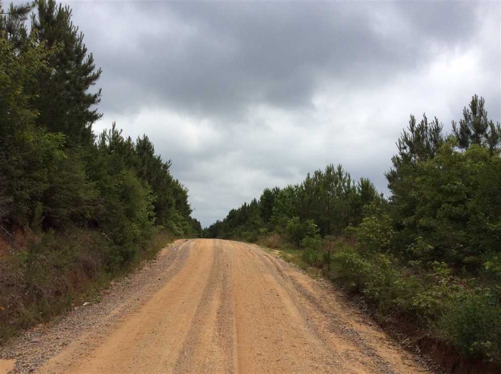80 Acres of Land for sale in winn County, Louisiana