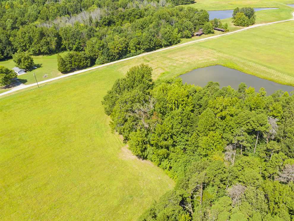alamance County, North Carolina property for sale
