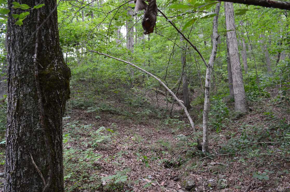 19 Acres of Land for sale in van buren County, Arkansas