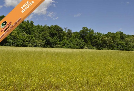 130 Acres of Land for Sale in white County Arkansas