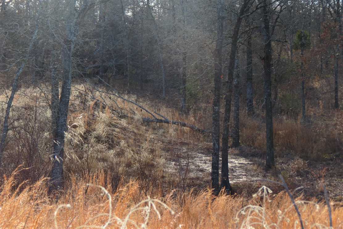 Timberland real estate available to buy