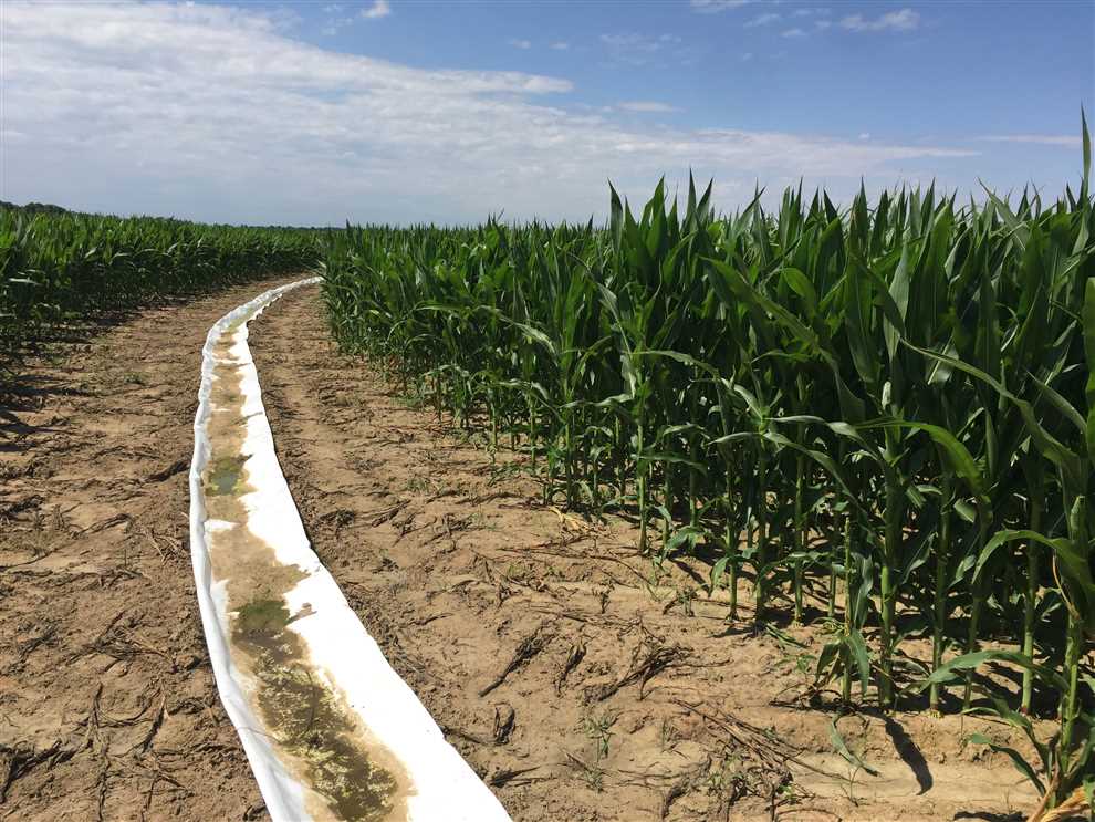 90 acre Row Crop Farm and Hunting Real estate listing