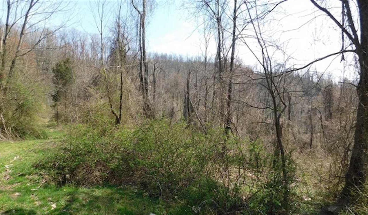 275 Acres of Land for sale in russell County, Virginia