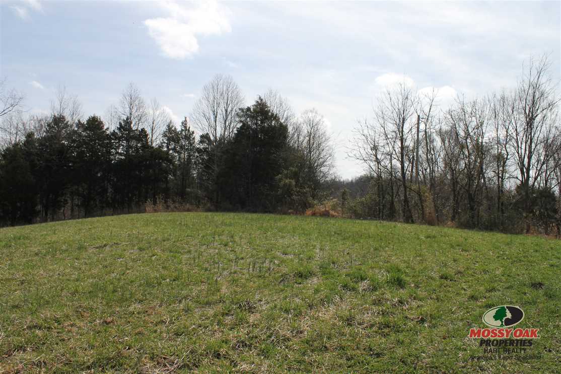 35 Acres of Land for sale in monroe County, Kentucky