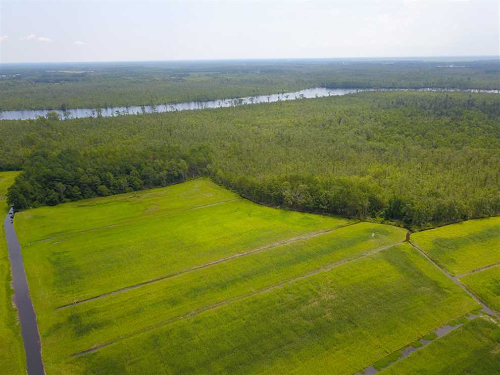 Houses and land for sale in North Carolina