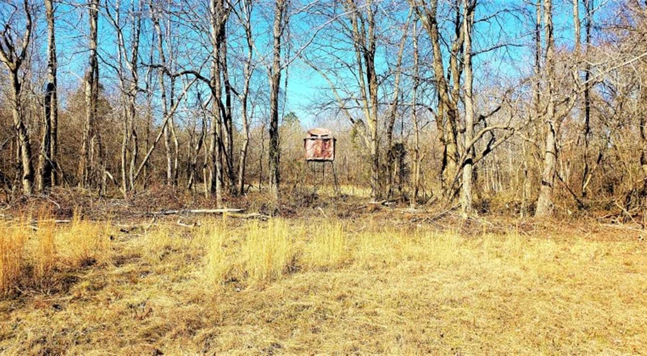 mcnairy County, Tennessee property for sale