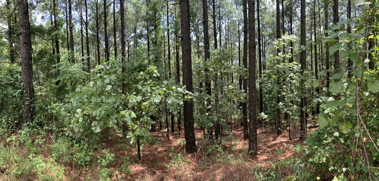 Houses and land for sale in Arkansas