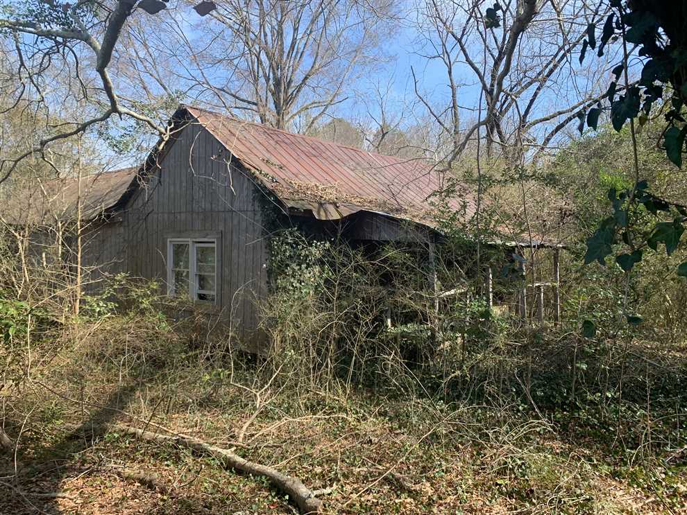 56.94 Acres of Land for sale in anson County, North Carolina