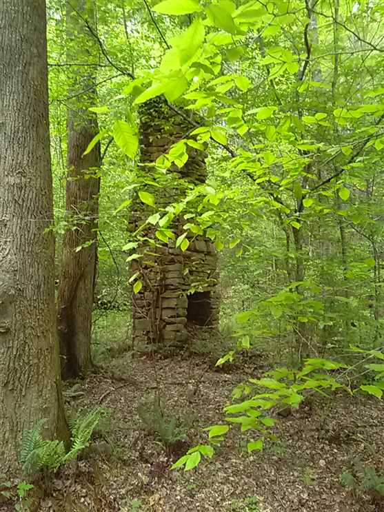 Property for sale at 3709 Tusquittee Road