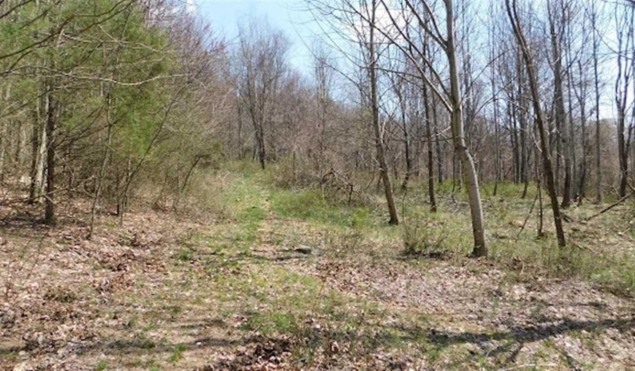 Recreational land real estate to buy in russell County VA