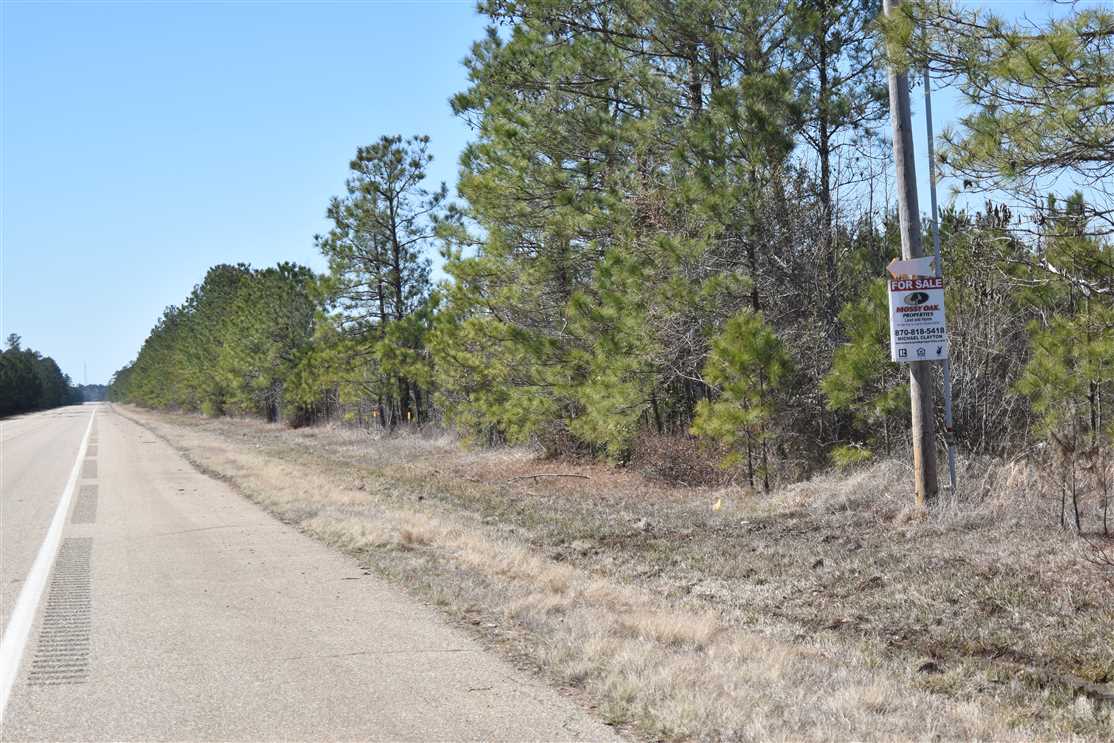 Timberland real estate available to buy