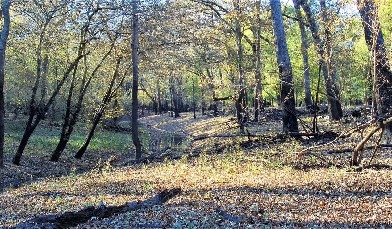 283 Acres of Land for Sale in bossier County Louisiana
