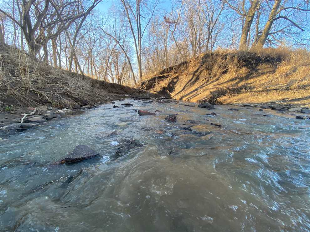 89 +/- Acre River Bottom Whitetail Farm with Waterfowl Potential Real estate listing