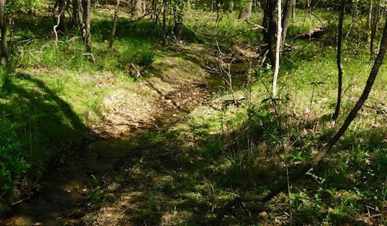 68.6 Acres of Land for sale in henry County, Virginia