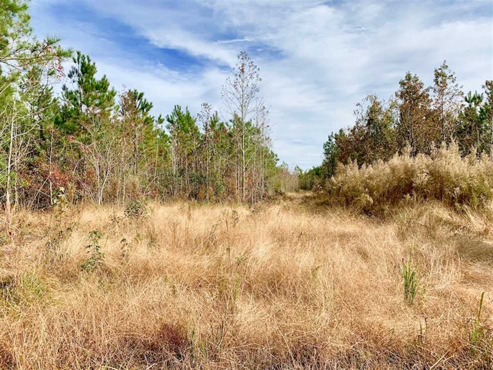 craven County, North Carolina property for sale