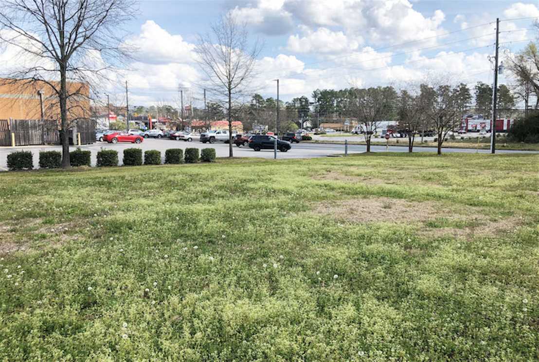 0.88 Acre Commercial Lot For Sale in Columbus County NC! Real estate listing