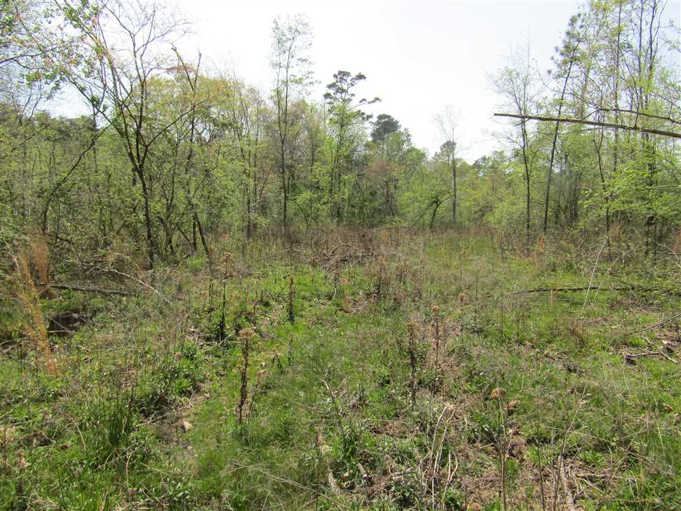 5 Acres of Land for sale in mccurtain County, Oklahoma