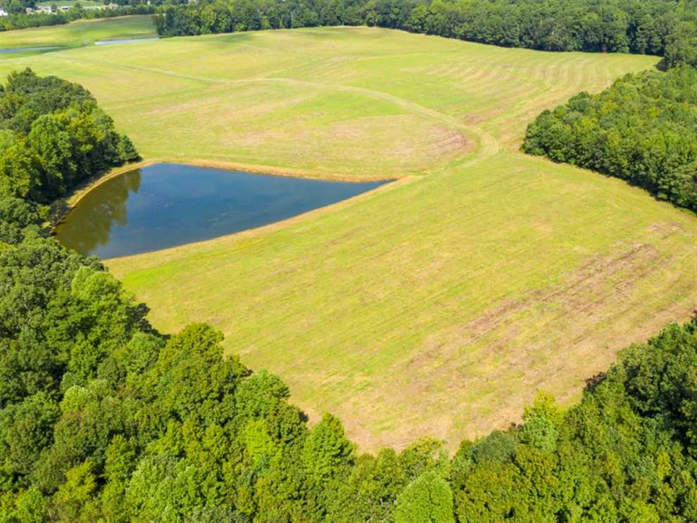 10.01 Acre Homesite with Pond for Sale in Alamance County NC! Real estate listing