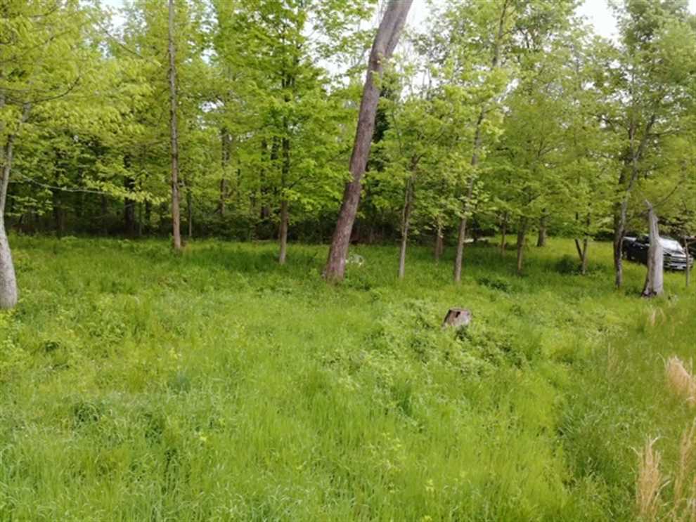 141 Acres of Land for Sale in ohio County, Indiana