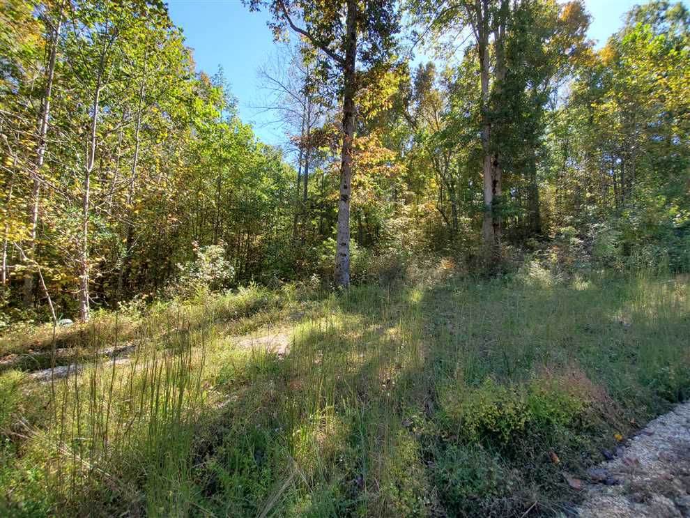 Build your dream home on this 6.15 Acre Residential lot. Located in a beautiful gated community in Hurricane Mills, TN. Real estate listing