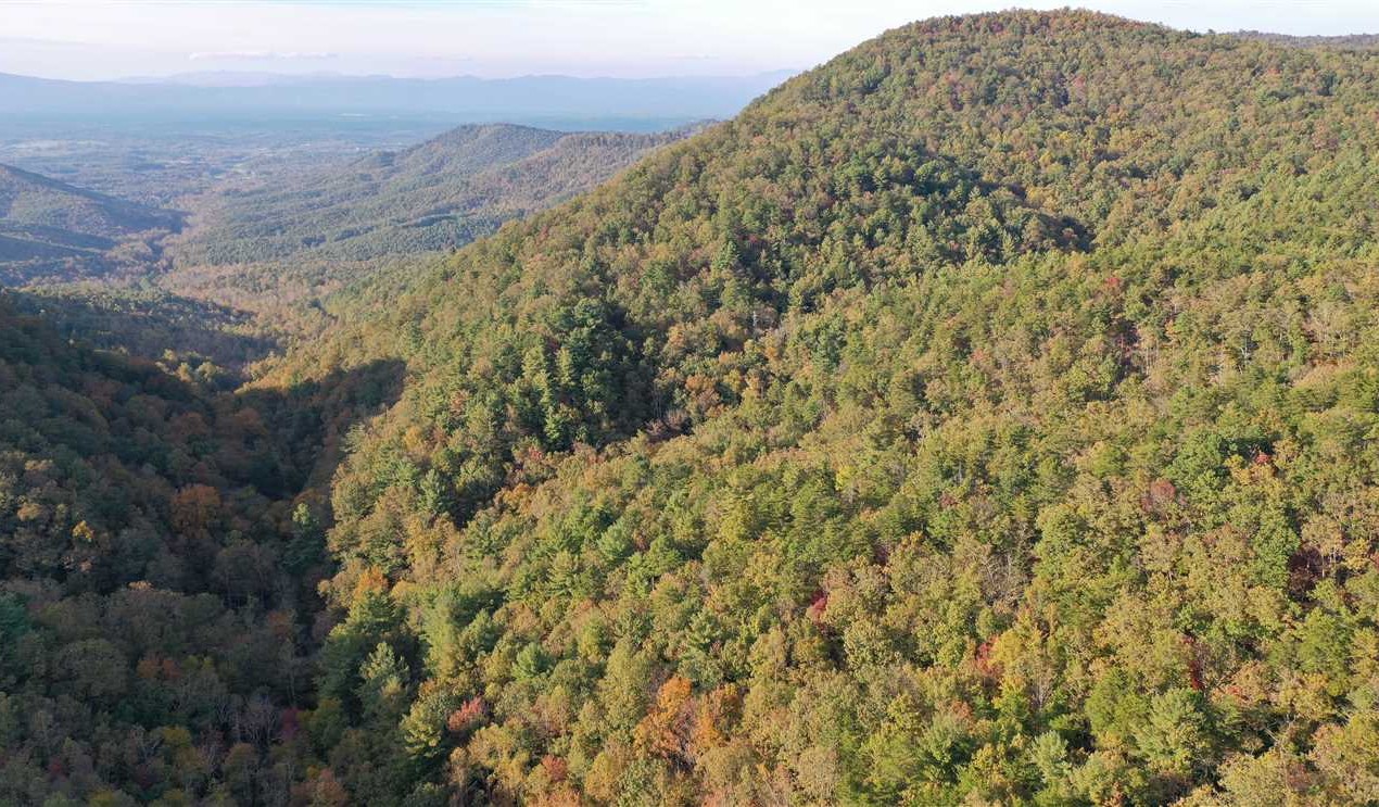 180.73 Acres of Land for Sale in burke County North Carolina