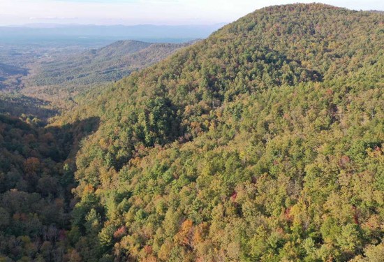 180.73 Acres of Land for Sale in burke County North Carolina