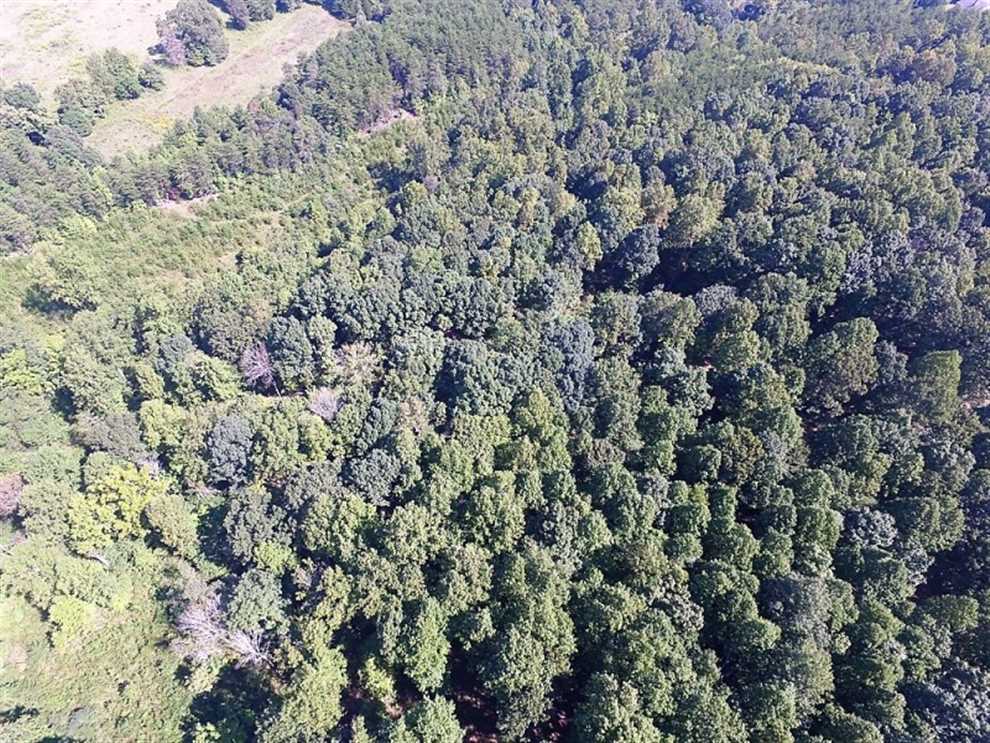 bedford County, Virginia property for sale