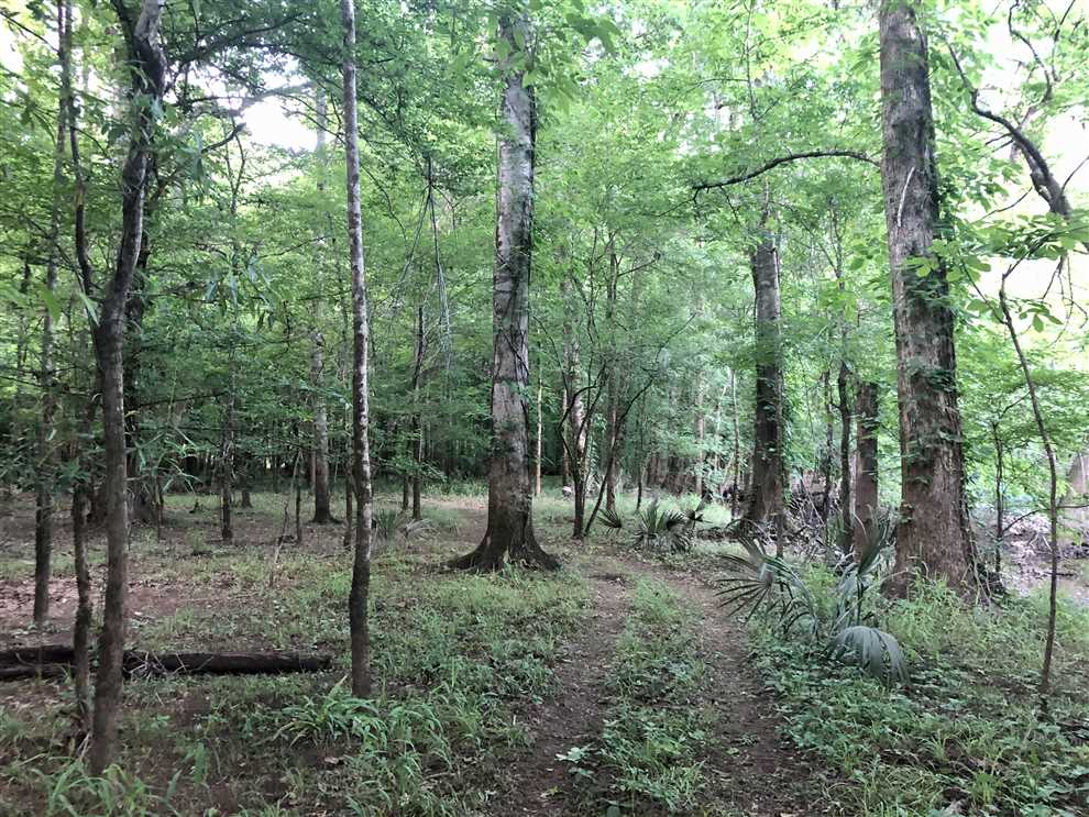 7 Acres of Recreational land for sale in Kathleen, houston County, Georgia