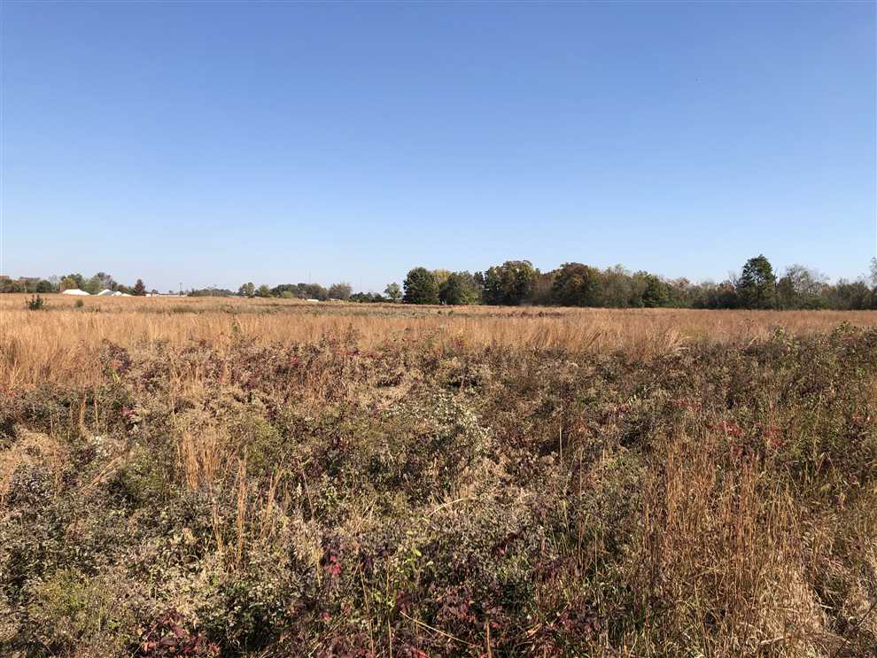 white County, Arkansas property for sale