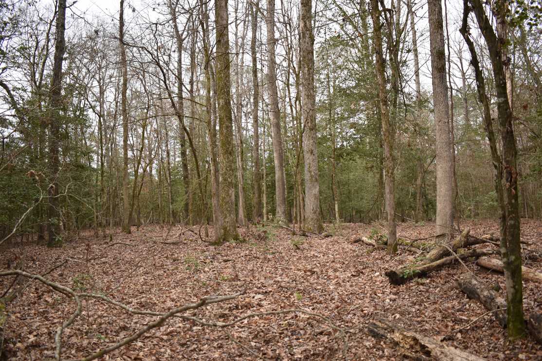 Recreational and   property for sale on The Land Market