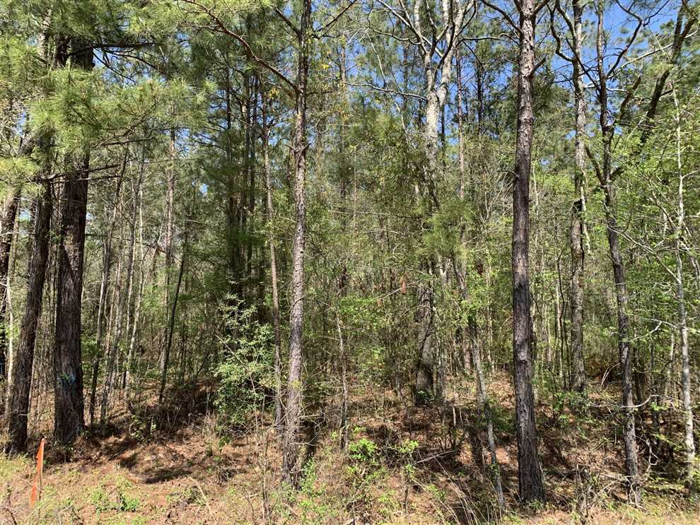 caldwell County, Louisiana property for sale