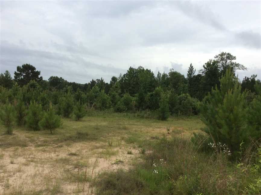 79.44 Acres of Land for sale in winn County, Louisiana