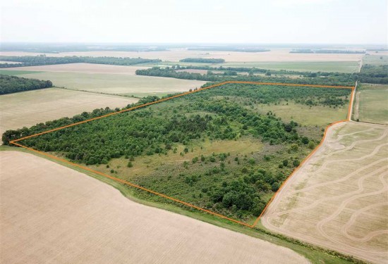 80 Acres of Land for Sale in monroe County Arkansas