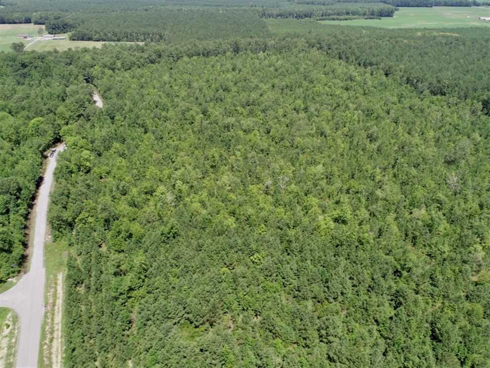 11.66 Acre Wooded Residential Building Lot in Gates County NC! Real estate listing