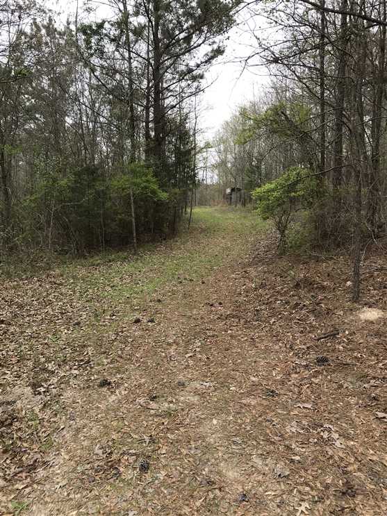 Property for sale at