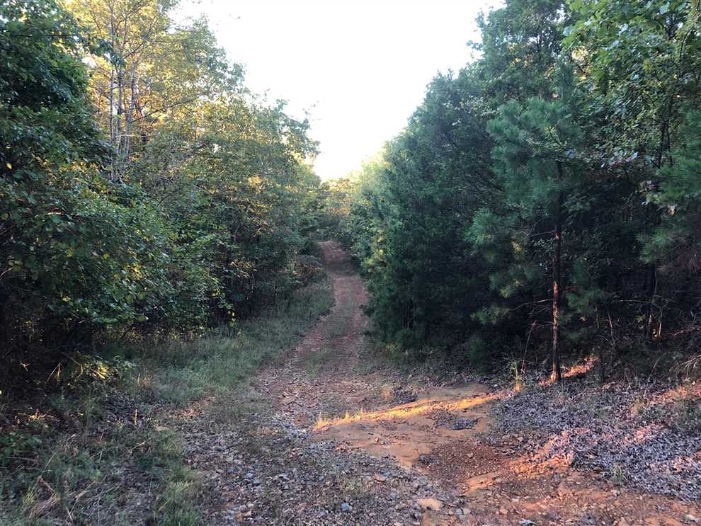 300 Acres of Recreational land for sale in Clinton, van buren County, Arkansas