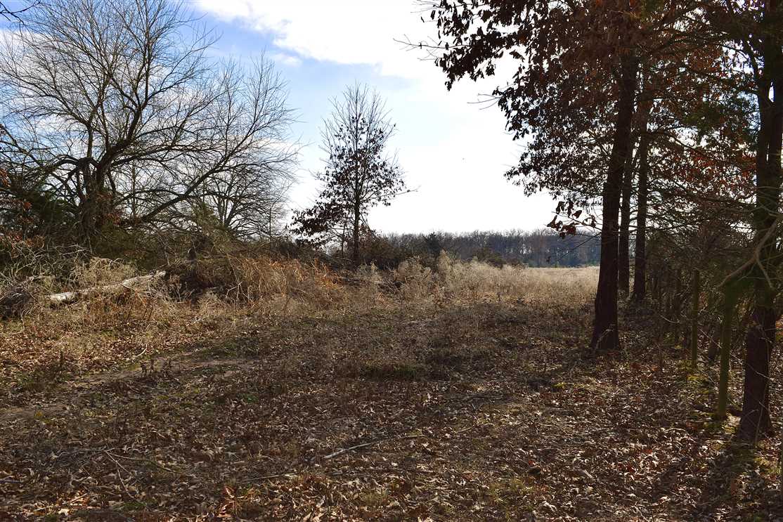 Land for sale to buy in  zip code
