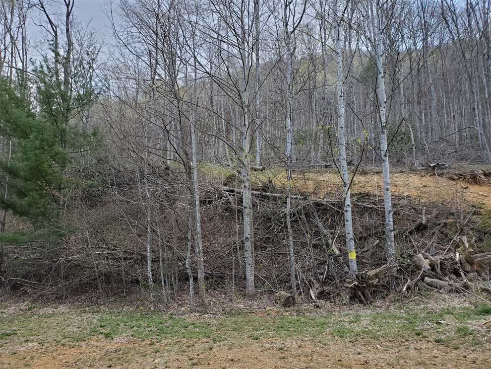 Land for sale to buy in 28694 zip code