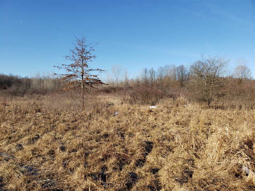 13.87 Acres of Land for sale in berrien County, Michigan