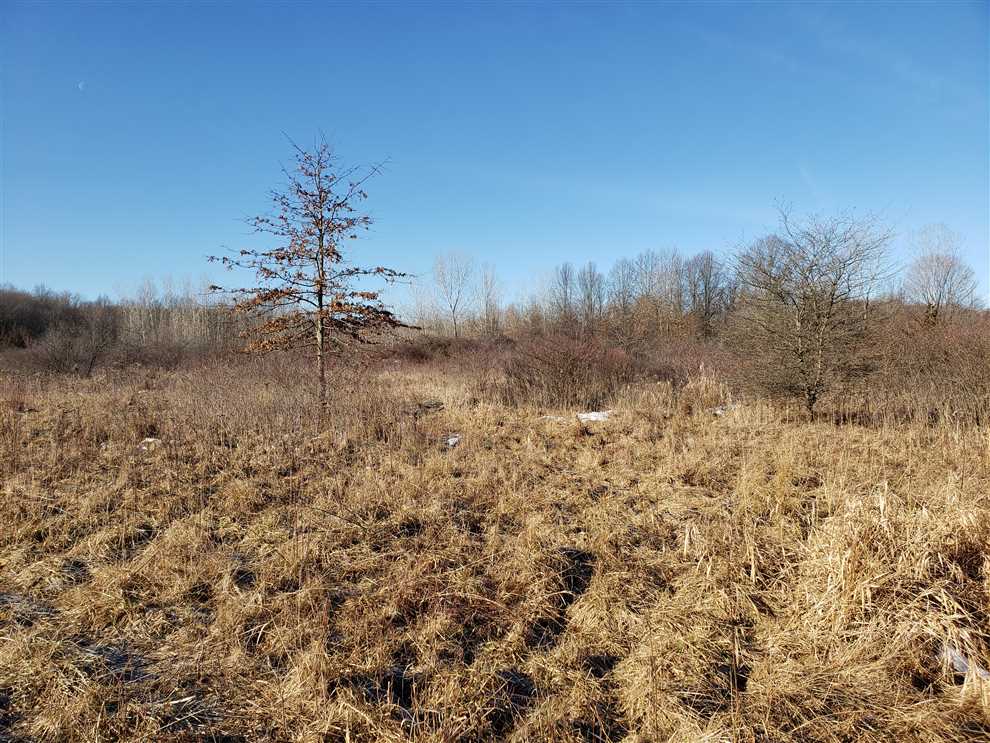 13.87 Acres of Land for sale in berrien County, Michigan