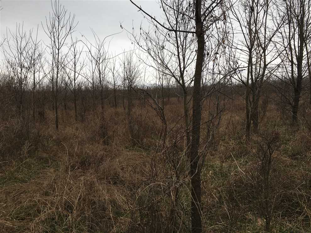Incredible Hunting Property For Sale In Montgomery County Kansas. Real estate listing