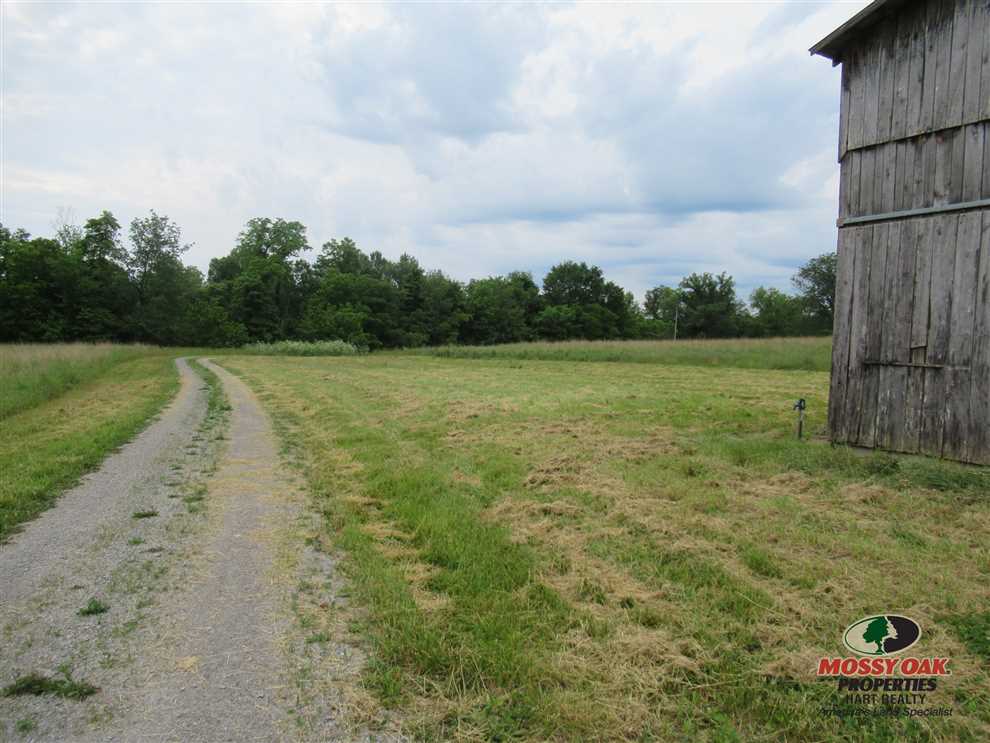 green County, Kentucky property for sale