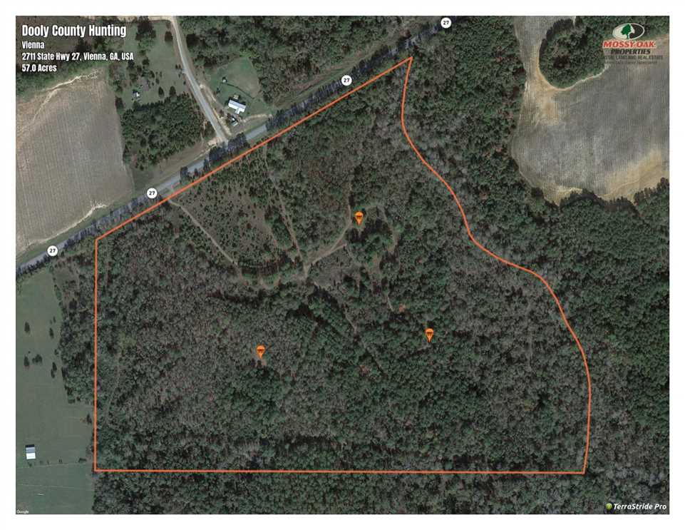 Dooly County Tract Real estate listing