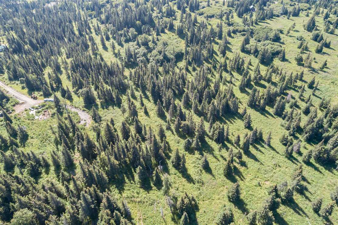 10 Acres of Land for sale in kenai peninsula County, Alaska